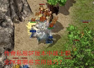����˽��SF�汾��սʿְҵPK����Щʵ�ü��ɣ�