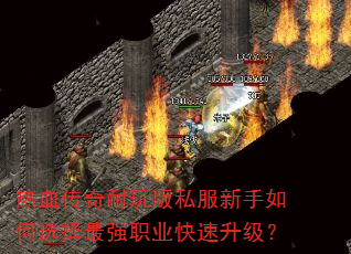 ��Ѫ���������˽���������ѡ����ǿְҵ����������