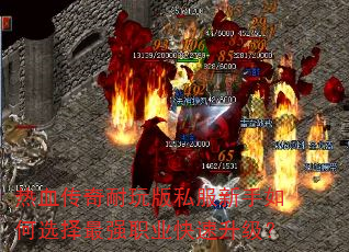 ��Ѫ���������˽���������ѡ����ǿְҵ����������