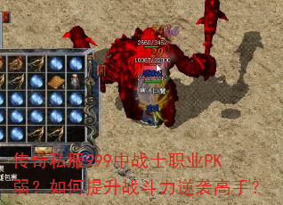 ����˽��999��սʿְҵPK�����������ս������Ϯ���֣�