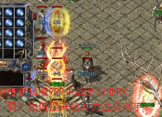����˽��999��սʿְҵPK�����������ս������Ϯ���֣�