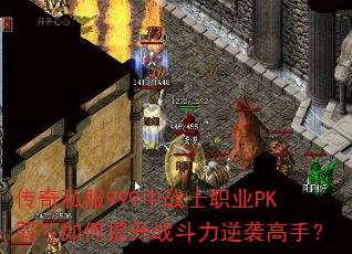 ����˽��999��սʿְҵPK�����������ս������Ϯ���֣�