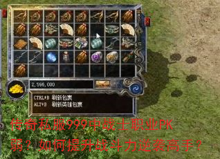 ����˽��999��սʿְҵPK�����������ս������Ϯ���֣�