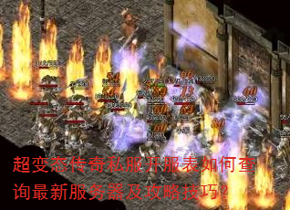 ����̬����˽����������β�ѯ���·����������Լ��ɣ�