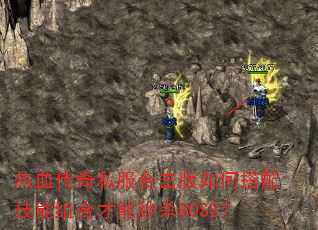 ��Ѫ����˽���ϻ�����δ��似����ϲ�����ɱBOSS��
