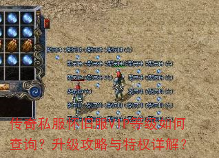 ����˽�����ɷ�VIP�ȼ���β�ѯ��������������Ȩ��⣿