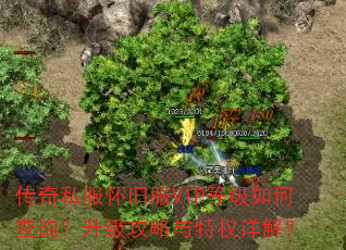 ����˽�����ɷ�VIP�ȼ���β�ѯ��������������Ȩ��⣿