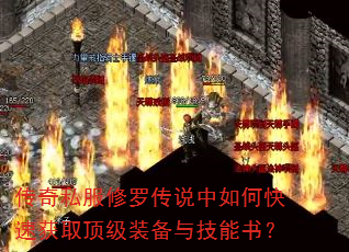����˽�����޴�˵����ο��ٻ�ȡ����װ���뼼���飿