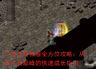 �б䴫��˽��ȫ��λ���ԣ������ֵ��۷�Ŀ��ٳɳ�ָ��