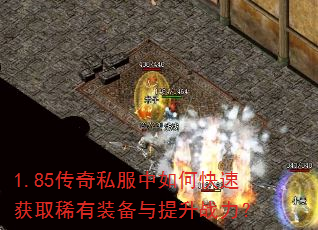 1.85����˽������ο��ٻ�ȡϡ��װ��������ս����