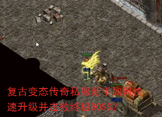 ���ű�̬����˽��������ο��������������ռ�BOSS��