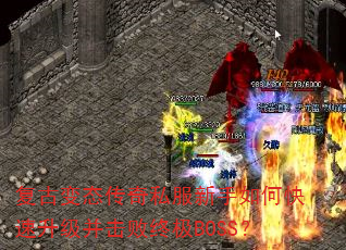 ���ű�̬����˽��������ο��������������ռ�BOSS��