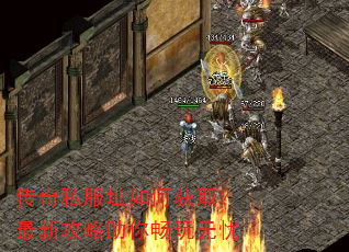 ����˽��ַ��λ�ȡ�����¹������㳩������