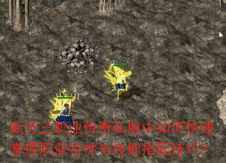 �¿���ְҵ����˽������ο�������ְҵ�����뼼�ܴ��似�ɣ�
