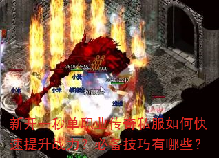 �¿�һ�뵥ְҵ����˽����ο�������ս�����ر���������Щ��