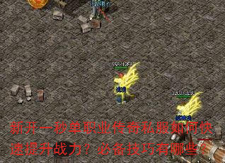 �¿�һ�뵥ְҵ����˽����ο�������ս�����ر���������Щ��