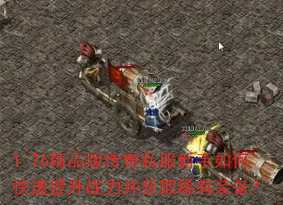 1.76��Ʒ�洫��˽��������ο�������ս������ȡϡ��װ����