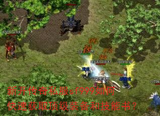 �¿�����˽��sf999��ο��ٻ�ȡ����װ���ͼ����飿