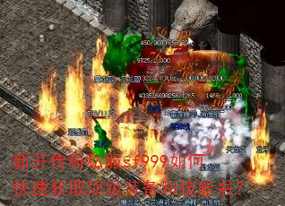 �¿�����˽��sf999��ο��ٻ�ȡ����װ���ͼ����飿