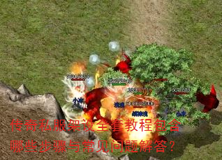 ����˽������ȫ�׽̳̰�����Щ�����볣��������
