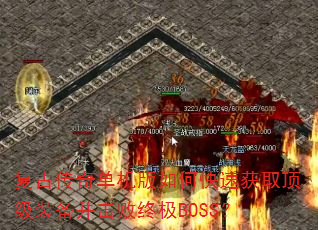 ���Ŵ��浥������ο��ٻ�ȡ����װ���������ռ�BOSS��