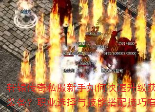 ��ԯ����˽��������ο���������ȡ����װ����ְҵѡ���뼼�ܴ��似������Щ��