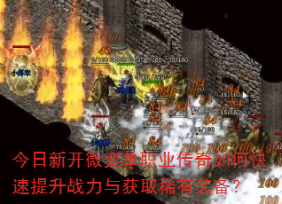 �����¿�΢�䵥ְҵ������ο�������ս�����ȡϡ��װ����