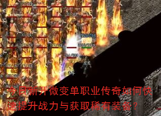 �����¿�΢�䵥ְҵ������ο�������ս�����ȡϡ��װ����