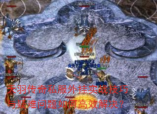 ������˽�����ʵս����������������θ�Ч�����