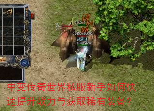 �б䴫������˽��������ο�������ս�����ȡϡ��װ����
