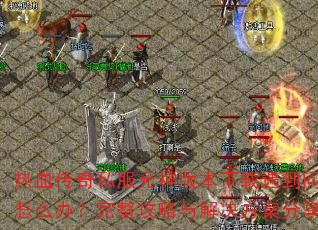 ��Ѫ����˽��Ԫ��汾��������������ô�죿����������������������
