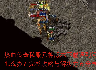 ��Ѫ����˽��Ԫ��汾��������������ô�죿����������������������