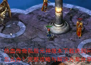 ��Ѫ����˽��Ԫ��汾��������������ô�죿����������������������