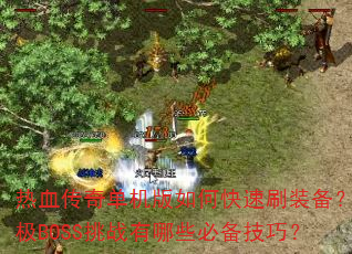 ��Ѫ���浥������ο���ˢװ�����ռ�BOSS��ս����Щ�ر����ɣ�