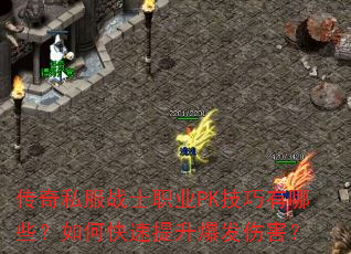 ����˽��սʿְҵPK��������Щ����ο������������˺���