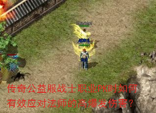 ���湫���սʿְҵPKʱ�����ЧӦ�Է�ʦ�ĸ߱����˺���
