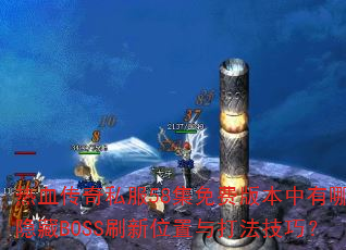 ��Ѫ����˽��58����Ѱ汾������Щ����BOSSˢ��λ����򷨼��ɣ�