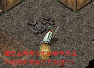 ʢ�����ڴ���˽�����ֿ���������������Щʵ�ü��ɣ�