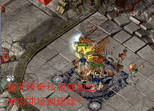 �¿�����˽����������ڳ弶���۷壿