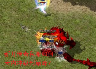 �¿�����˽����������ڳ弶���۷壿