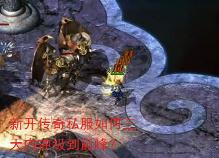 �¿�����˽����������ڳ弶���۷壿
