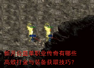 �¿����浥ְҵ��������Щ��Ч�����װ����ȡ���ɣ�