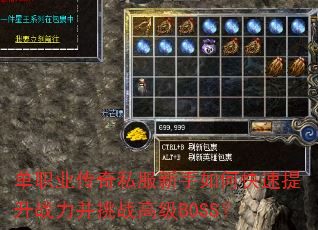 ��ְҵ����˽��������ο�������ս������ս�߼�BOSS��