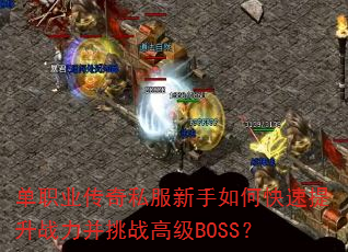 ��ְҵ����˽��������ο�������ս������ս�߼�BOSS��