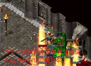 ����sf���°汾����ο�������ս������������BOSS��
