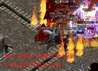 �����������Ѫ����˽���п��ٻ�ö���װ����