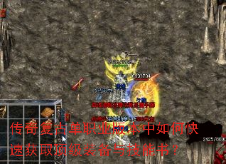 ���渴�ŵ�ְҵ�汾����ο��ٻ�ȡ����װ���뼼���飿