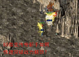 85΢�䴫��������ο���ͻ��ս��ƿ����