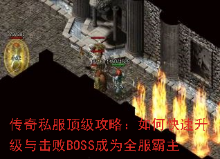 ����˽���������ԣ���ο������������BOSS��Ϊȫ������