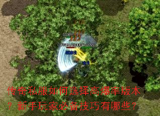 ����˽�����ѡ��߱��ʰ汾��������ұر���������Щ��